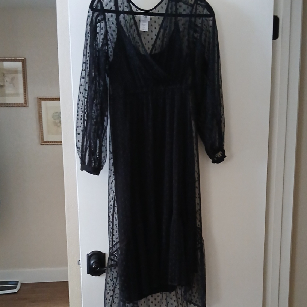 Elegant Black Sheer Dress